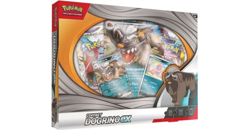 Coffret Pokémon Drogino Ex