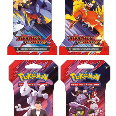 ArtSet Booster Pokemon Rivalités Destinées EV10